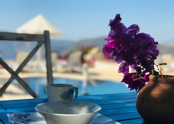 Sultan * Kalkan