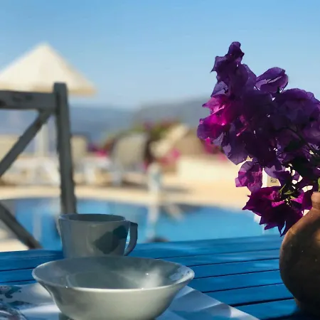 Sultan * Kalkan