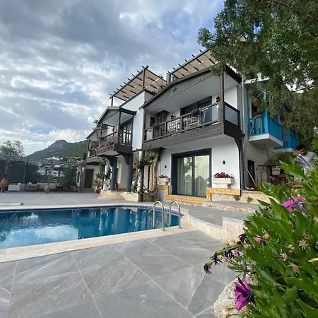 Sultan Kalkan